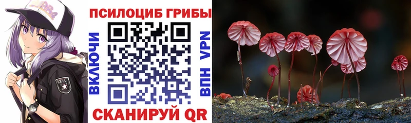 Псилоцибиновые грибы GOLDEN TEACHER  Красный Кут 